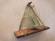 Load image into Gallery viewer, Air Plant Hangers (Set of 3)